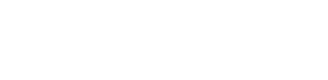 SkyTelecom GmbH - Intranet